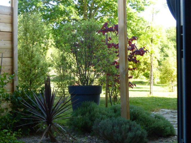La Sellerie Bed & Breakfast Romagne  Exterior foto